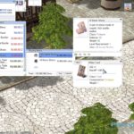 +9 Shoes [1] with Matyr Card from NPC